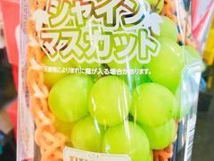 -油麻地果栏