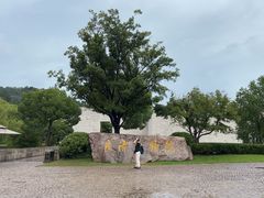 -良渚博物院