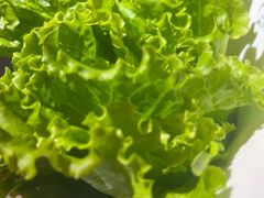 -杨记齐齐哈尔烤肉(总店)