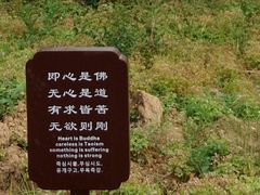 -南海禅寺