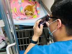 -康爱犬猫诊所·牙专科·骨外科·影像内科(丰宁店)