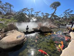 -罗红摄影艺术馆