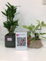 -产后帮产后修复(首城国际店)