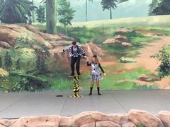 -美的鹭湖探索王国