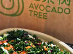 -油梨树AVOCADO TREE(嘉里中心店)