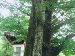 -径山寺