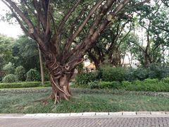 -人民公园(罗湖区)