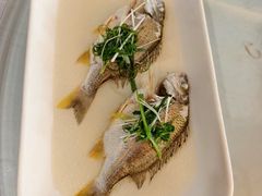 -鹿鸣酒家(越秀店)