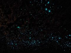 -怀托摩萤火虫洞