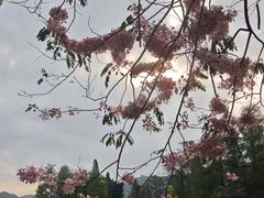 -四海公园(南山区)
