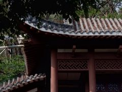 -深圳国际园林花卉博览园