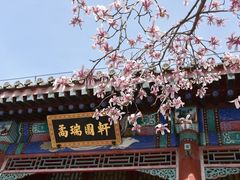 -颐和园