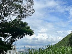 -梧桐山风景名胜区