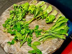 -缘生态云南菜·野生菌庭院餐厅(华侨城店)