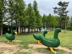 -羊亭河湿地公园