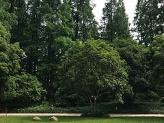 -上海怡沁园度假酒店