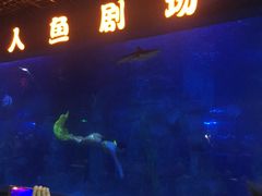 -石家庄极地海洋世界