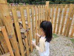 -日照海滨国家森林公园
