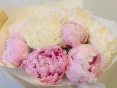 -花生FM_FLOWERS