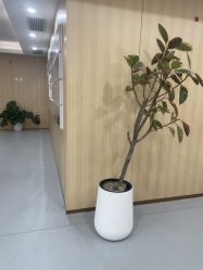 -上海伊莱美医疗美容医院