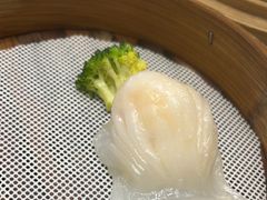 -东方御宴海鲜酒楼(棕泉酒店)