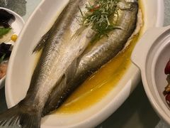 清蒸太湖白鱼-乾园(天河城店)