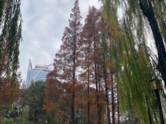 -温江公园