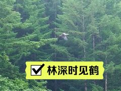 -青龙寺