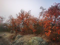 -香山公园