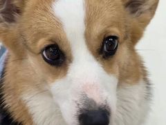 -怪兽屋·羊驼·猫咖·狗咖(俊华广场店)