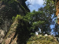-七仙岭温泉国家森林公园