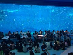 鲸鲨餐厅-上海海昌海洋公园