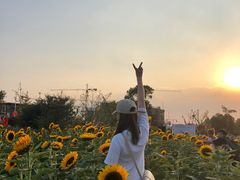 -瑶湖郊野森林公园