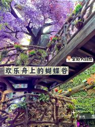 -欢乐舟·舟舟玩乐园