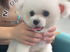 -创凡宠物医院·骨专科  猫科中心(西乡分院)