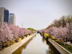 -海棠花溪(元大都城垣遗址公园)