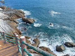 -广东惠东海龟国家级自然保护区
