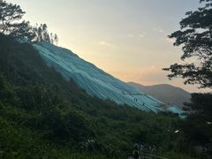 -黄埔油麻山森林公园