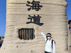 -哈密雅丹大海道景区