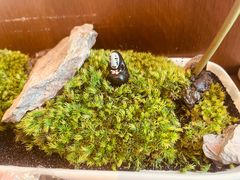 -水之惠鲜鱼料理(王府大街店)