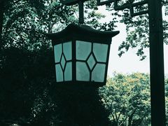-枫桥夜泊