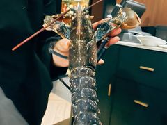 -Oyster Talks 四度蚝法餐厅
