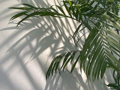 -丹礼糖甜品