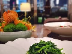 -三利音·浦之舟(滨江大道店)