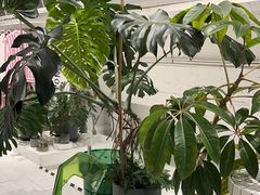 -白噪音White Noise·798概念店