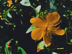 -狼山风景名胜区