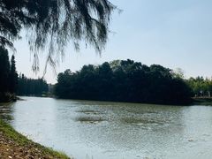 -艾溪湖湿地公园