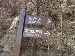 -阳台山自然风景区