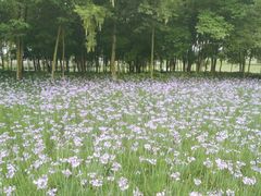 -中国天府农业博览园