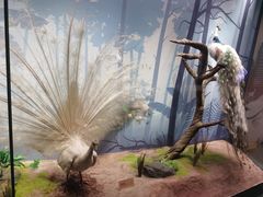 -陕西自然博物馆